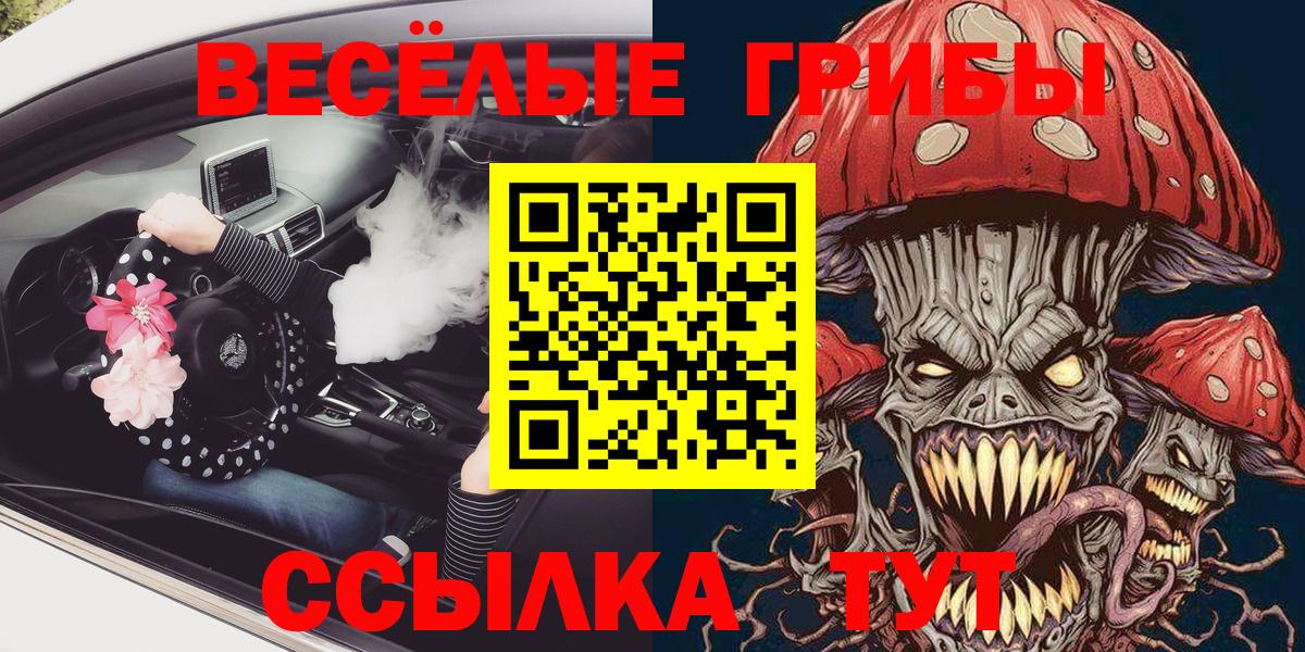 Морозовск  Галлюциногенные грибы Magic Shrooms  Вход с VPN 